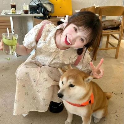 梦物语